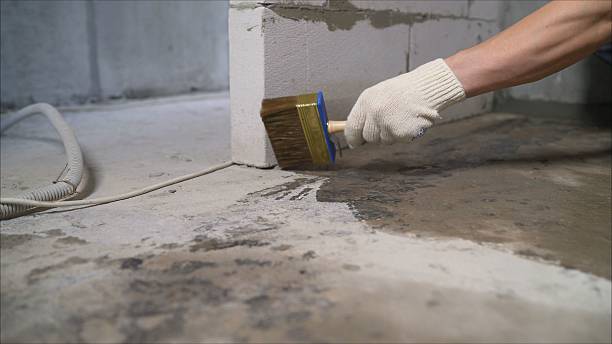 Top rated local Emergency Waterproofing specialists in Vaughnsville, OH